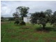 Proston QLD 4613