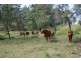 Gordonbrook QLD 4610