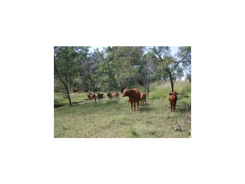 Gordonbrook QLD 4610