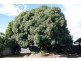 Kingaroy QLD 4610