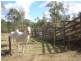Dangore QLD 4610