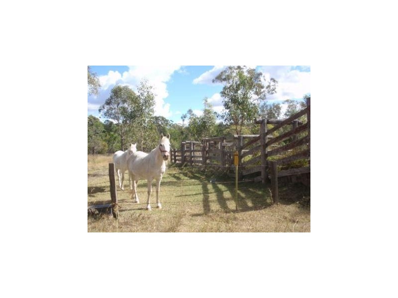 Dangore QLD 4610