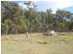 Dangore QLD 4610