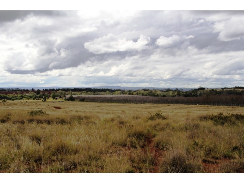 Kingaroy QLD 4610