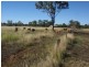 Mondure QLD 4611