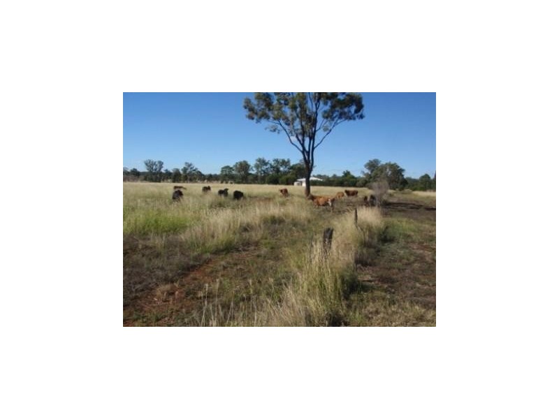 Mondure QLD 4611
