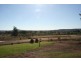 Kingaroy QLD 4610
