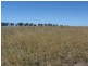 Mondure QLD 4611