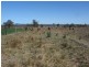 Mondure QLD 4611
