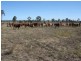 Mondure QLD 4611
