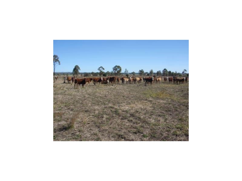 Mondure QLD 4611