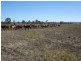 Mondure QLD 4611