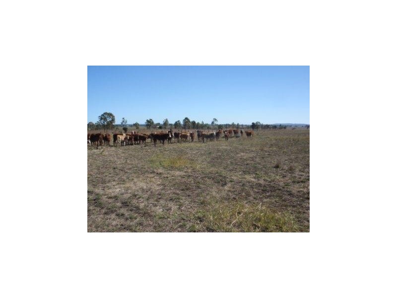 Mondure QLD 4611