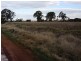 Haly Creek QLD 4610