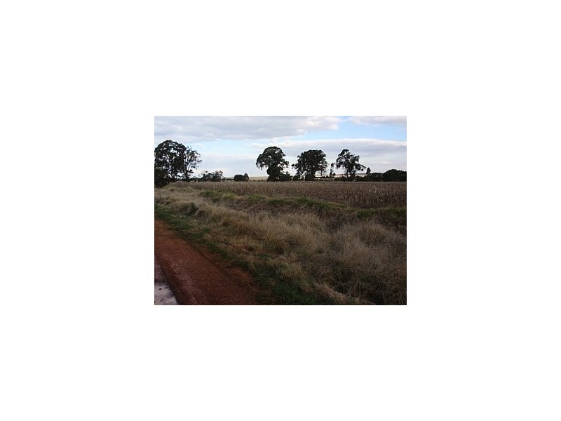 Haly Creek QLD 4610