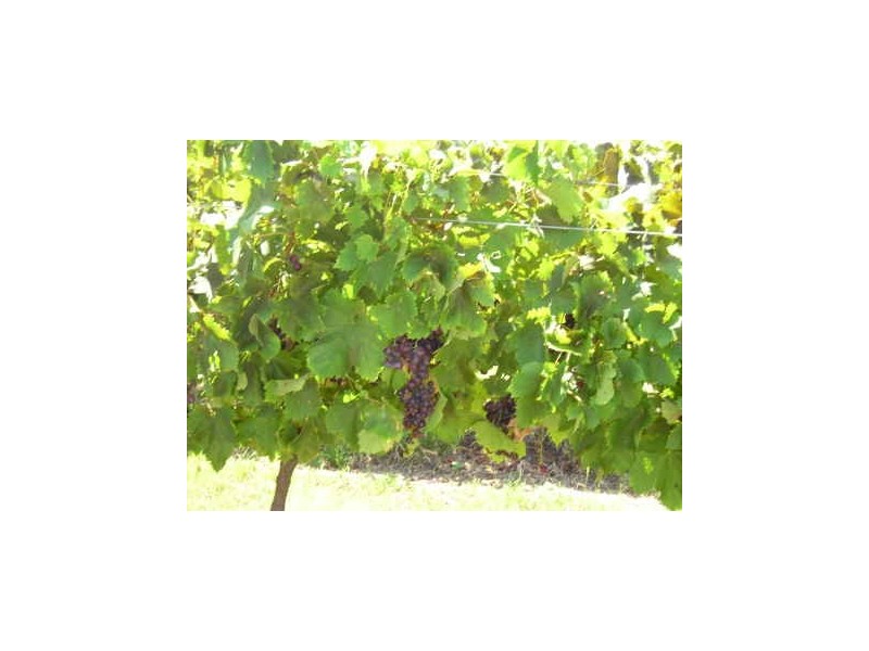 Kumbia QLD 4610