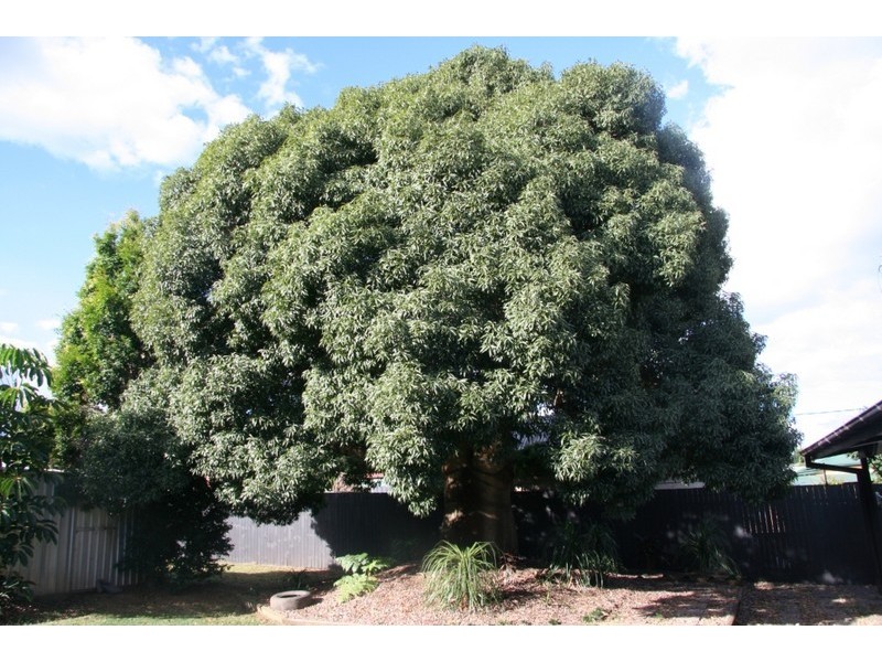 16 Jubilee Street, Kingaroy QLD 4610