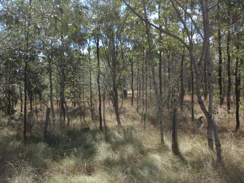 Ballogie QLD 4610