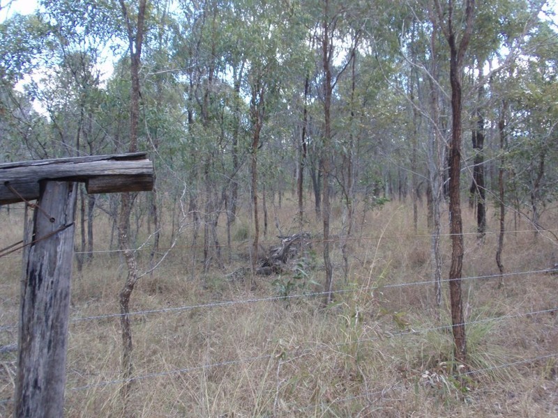 Ballogie QLD 4610
