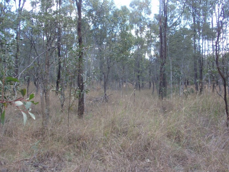 Ballogie QLD 4610