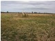Wondai QLD 4606