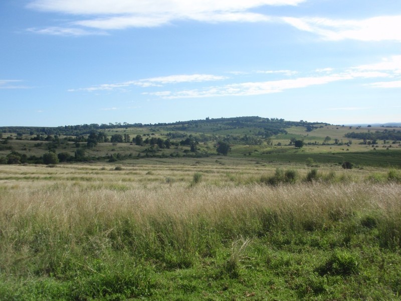 Kingaroy QLD 4610