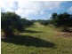 Blackbutt QLD 4306