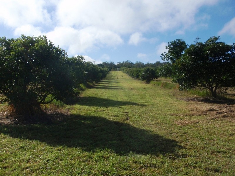 Blackbutt QLD 4306