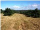 Blackbutt QLD 4306