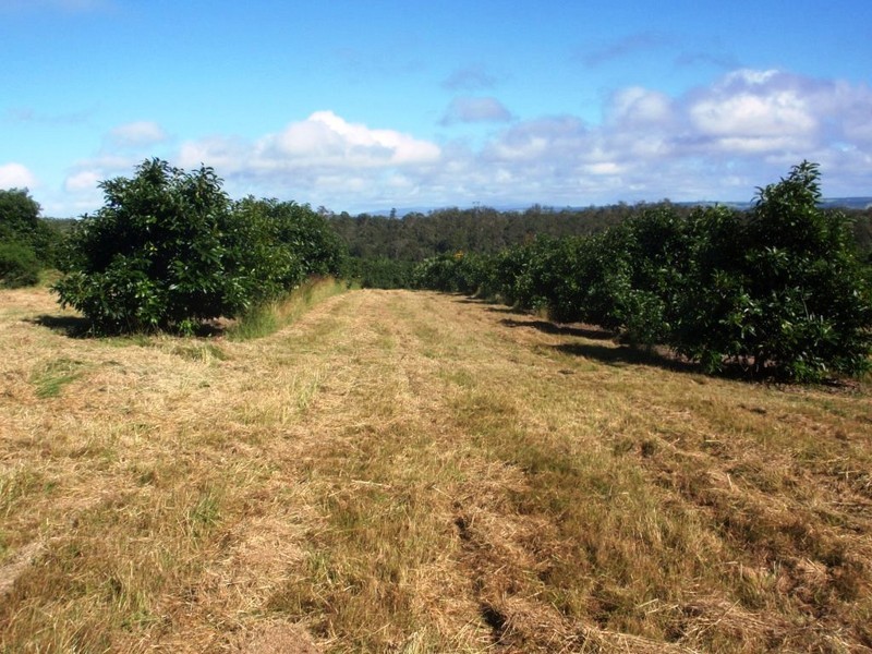 Blackbutt QLD 4306