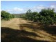 Blackbutt QLD 4306