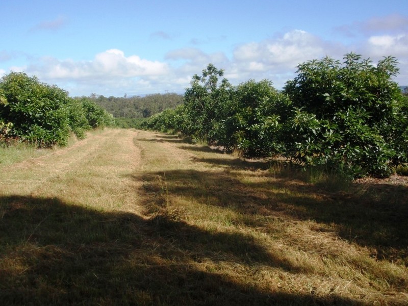 Blackbutt QLD 4306