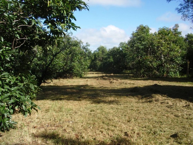 Blackbutt QLD 4306