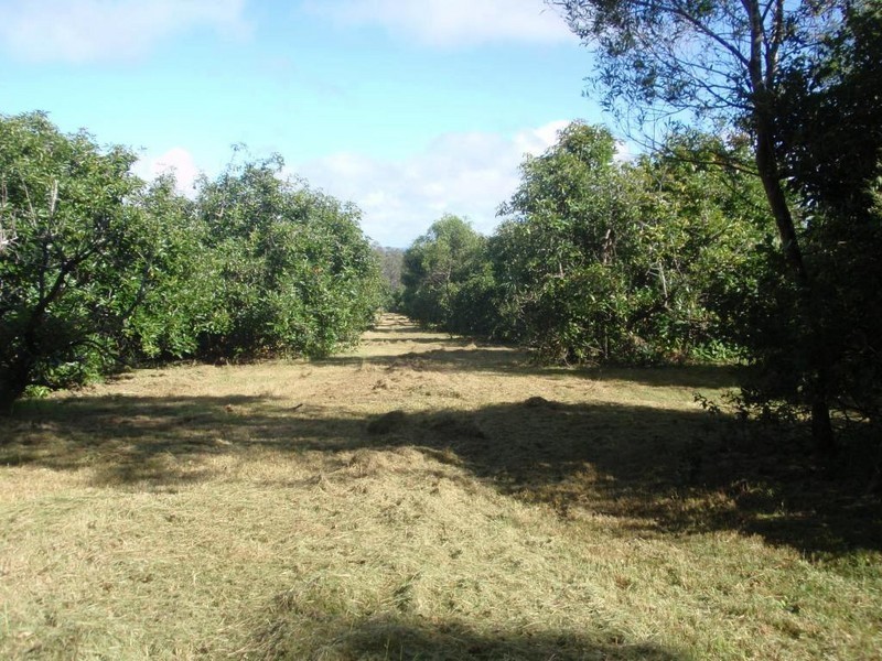 Blackbutt QLD 4306