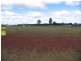 Kingaroy QLD 4610