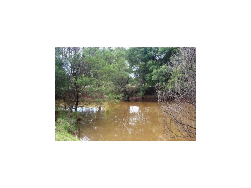 Kingaroy QLD 4610