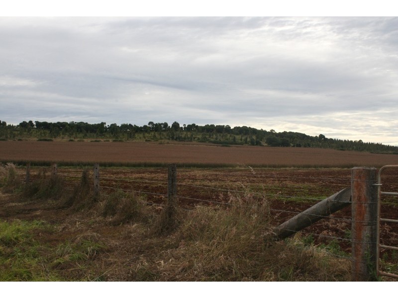Kingaroy QLD 4610