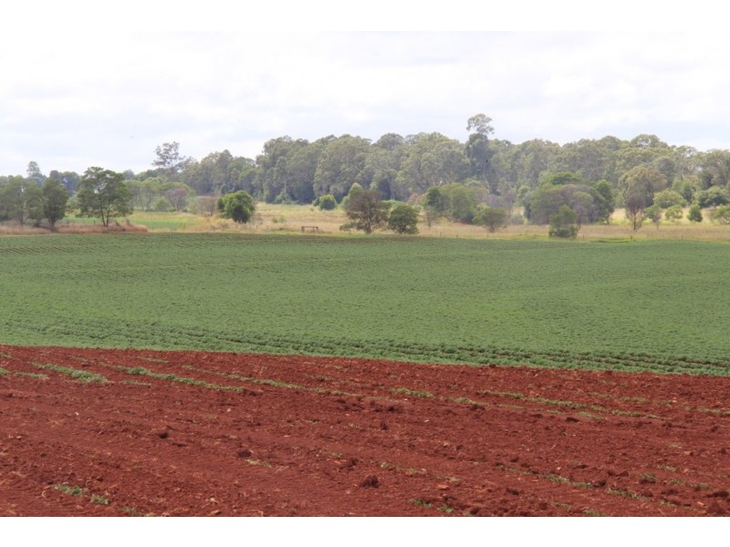 Kingaroy QLD 4610