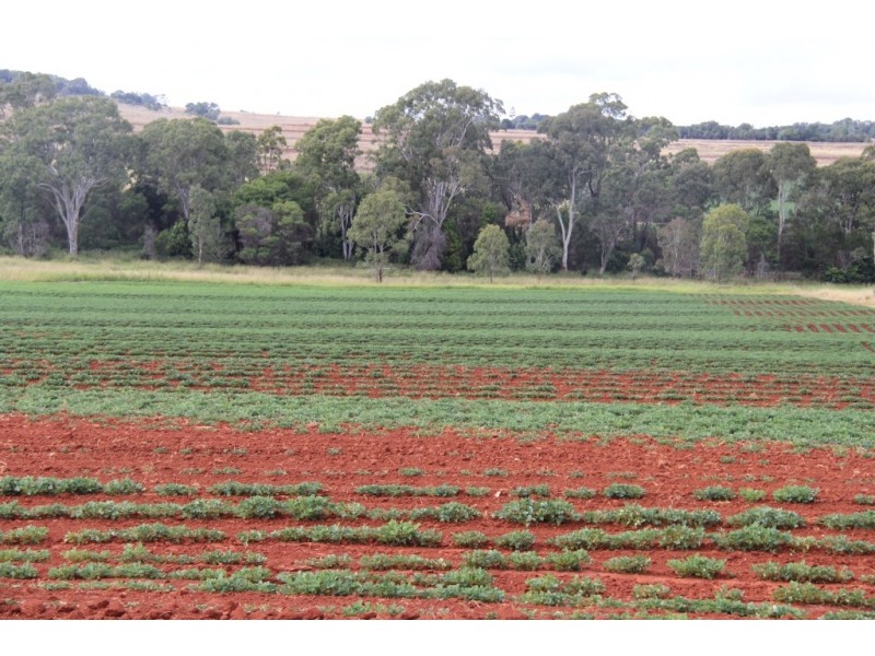 Kingaroy QLD 4610