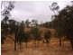 Cinnabar QLD 4600
