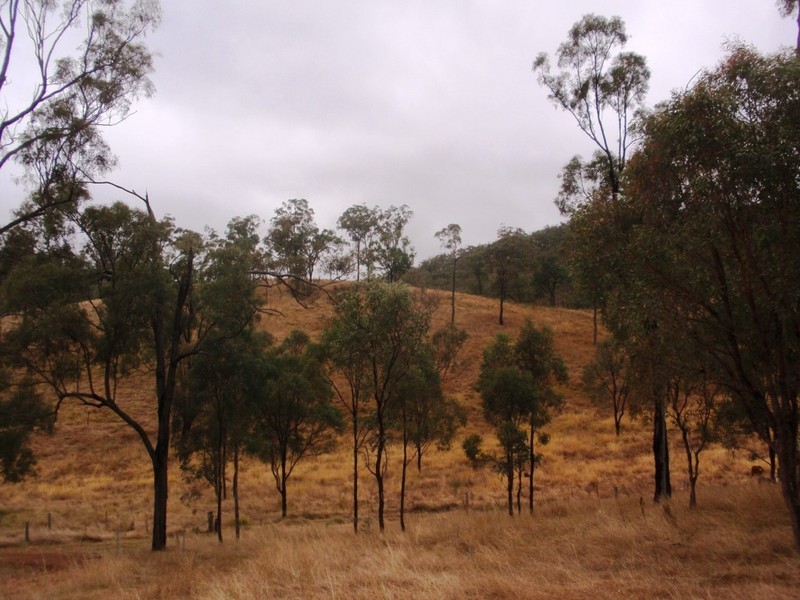 Cinnabar QLD 4600