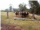 Cinnabar QLD 4600