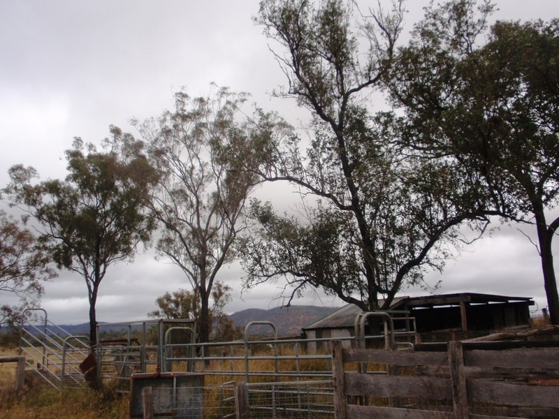 Cinnabar QLD 4600