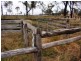 Cinnabar QLD 4600