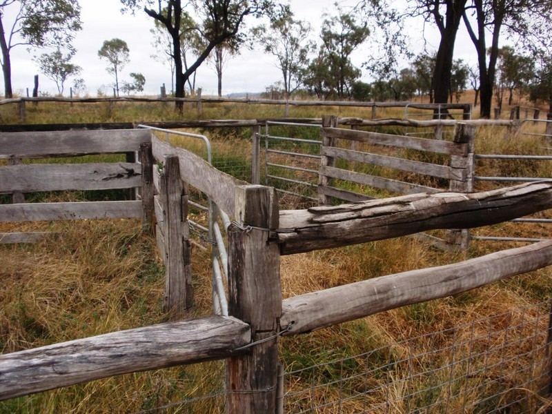 Cinnabar QLD 4600