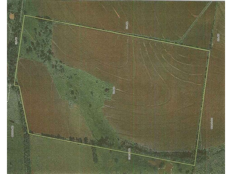 Kingaroy QLD 4610