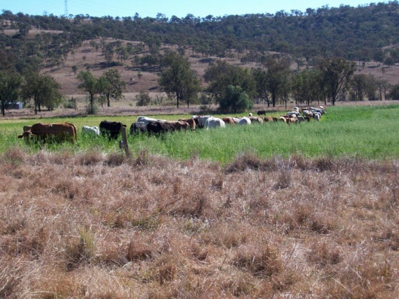 Alice Creek QLD 4610