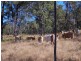 Alice Creek QLD 4610