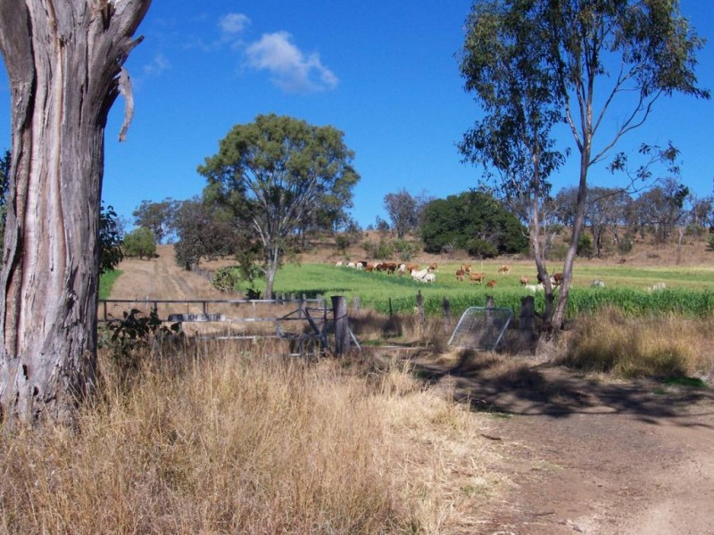 Alice Creek QLD 4610