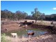 Alice Creek QLD 4610